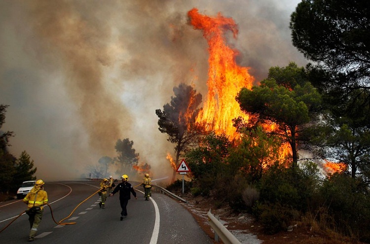 Firefighters work to control a raging forest fire as trees are engulfed in flames next to a road in Ojen, southern Spain, Friday, Aug. 31, 2012. Spanish officials say some 4,000 people have been evacuated from their houses as a wildfire abetted by strong winds spread rapidly through hills around the popular southern tourist city of Marbella. (AP Photo/Sergio Torres)