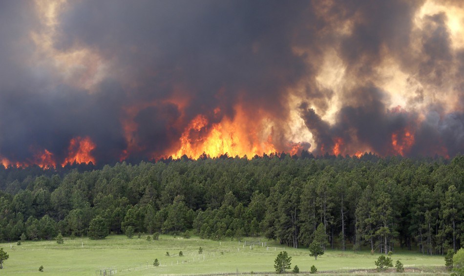 black-forest-fire-2